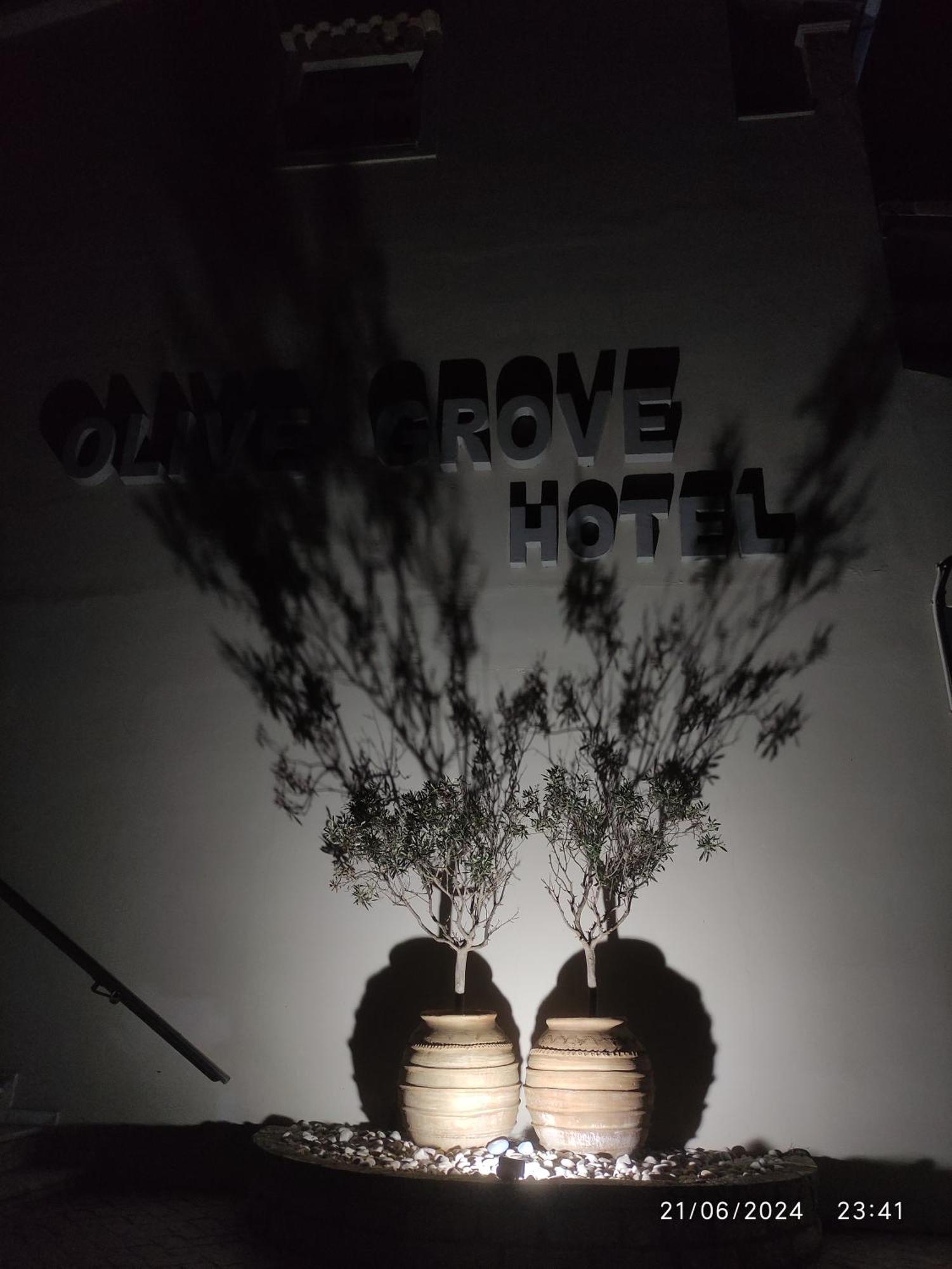 Olivegrove Daire Sidárion Dış mekan fotoğraf